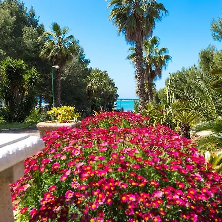 Garden Sea *